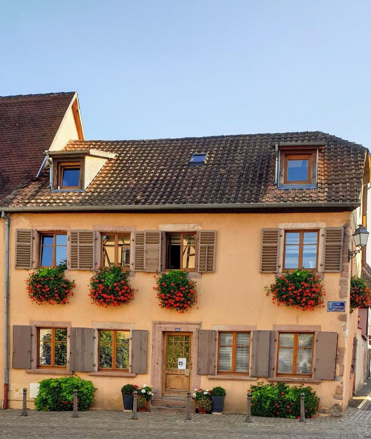 Chez Laurette A Bergheim Appartement Buitenkant foto